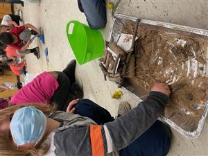 shelter created by a group of kindergartners to keep creatures safe from the hot sun